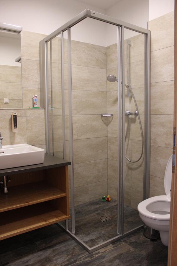 Penthouse Am Sonnenhang Neukirchen am Großvenediger Εξωτερικό φωτογραφία